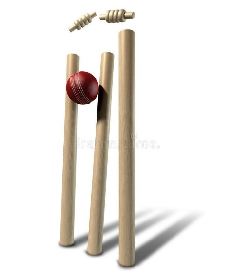 Cricket wickets